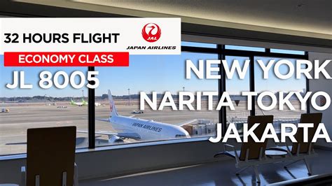 japs 8005|Japan Airlines 8005 .